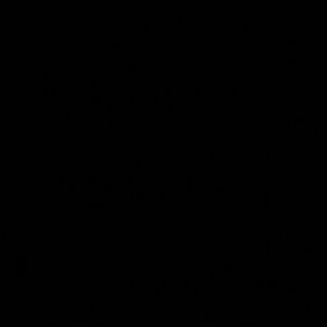 Meet your Posher, Joy